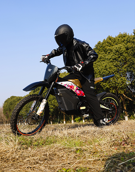 QuickCharge Pro Lithium Battery